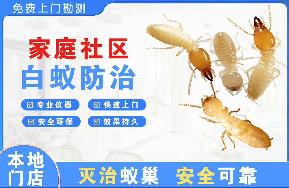 亳州家庭社区白蚁防治