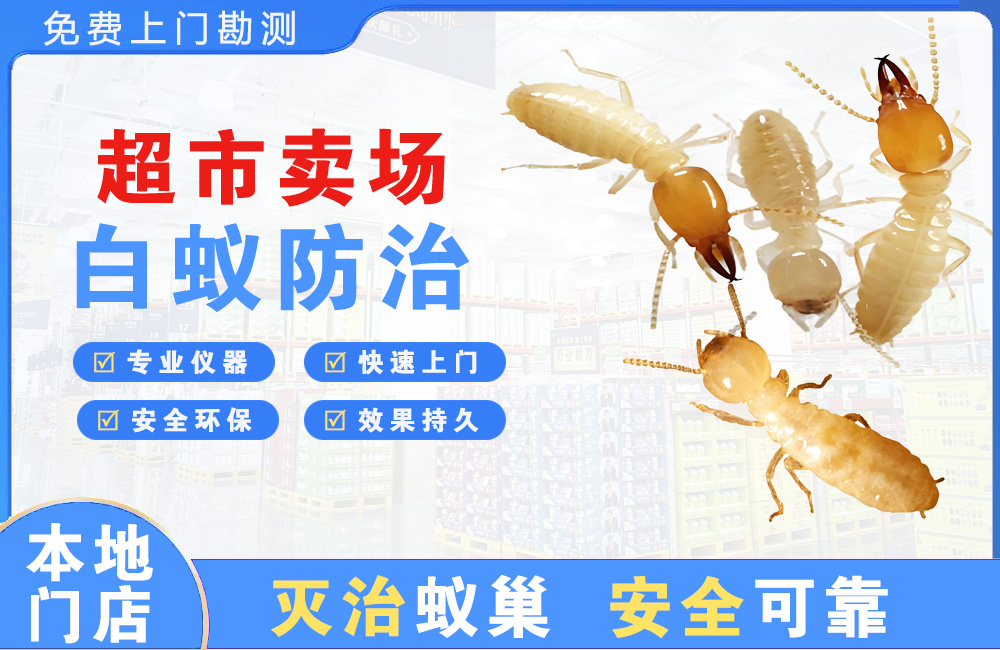 亳州超市卖场白蚁防治