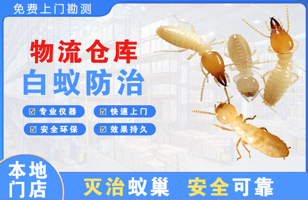 亳州物流仓库白蚁防治