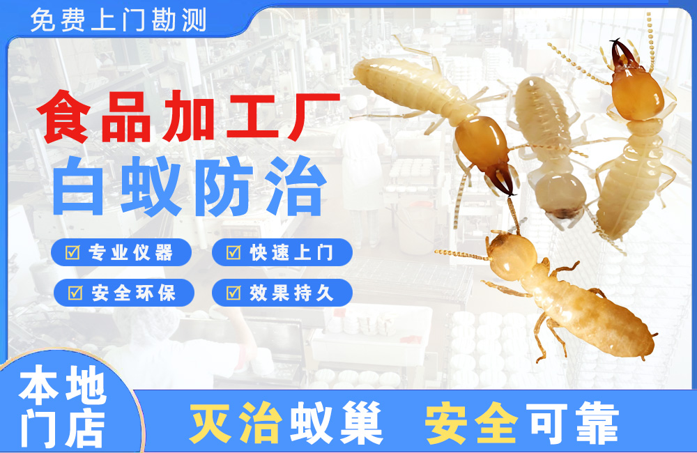 亳州食品加工厂白蚁防治