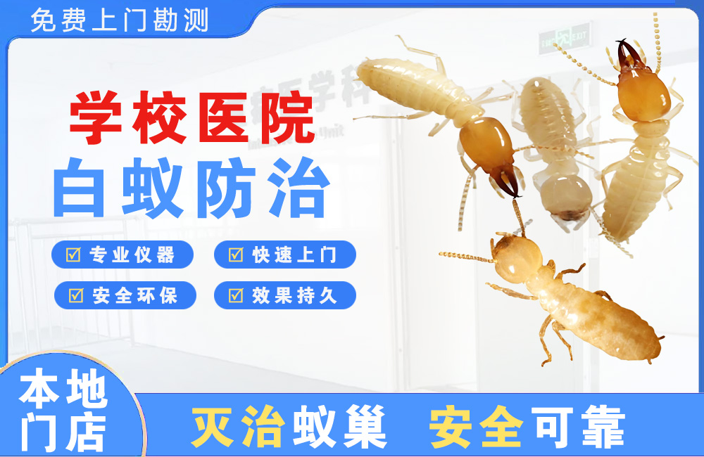 亳州学校医院白蚁防治