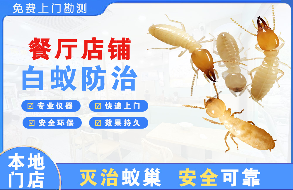 亳州餐厅店铺白蚁防治